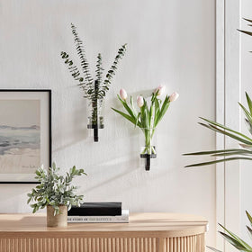 CISEANOL glass tubes close-up showcasing clear vase for floral displays