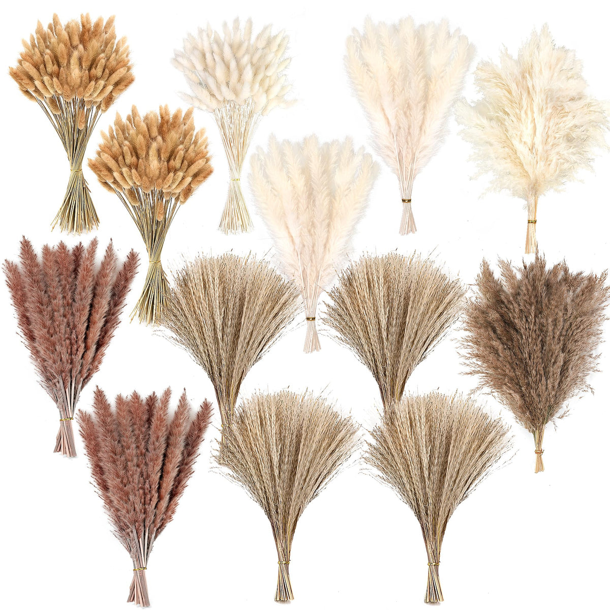 CKBT 300 piece dried pampas grass decor for weddings and modern homes