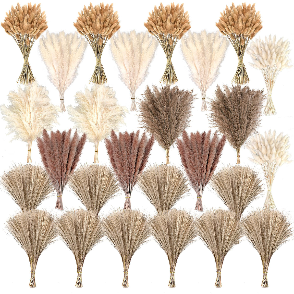 CKBT 610-piece dried pampas grass decor enhances a living room with natural texture and style