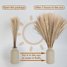 CKBT boho room decor with pampas grass adds airy warmth