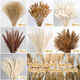 CKBT pampas grass bouquets add natural charm to living rooms and events