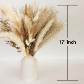 CKBT natural pampas decor suits boho and modern interiors seamlessly