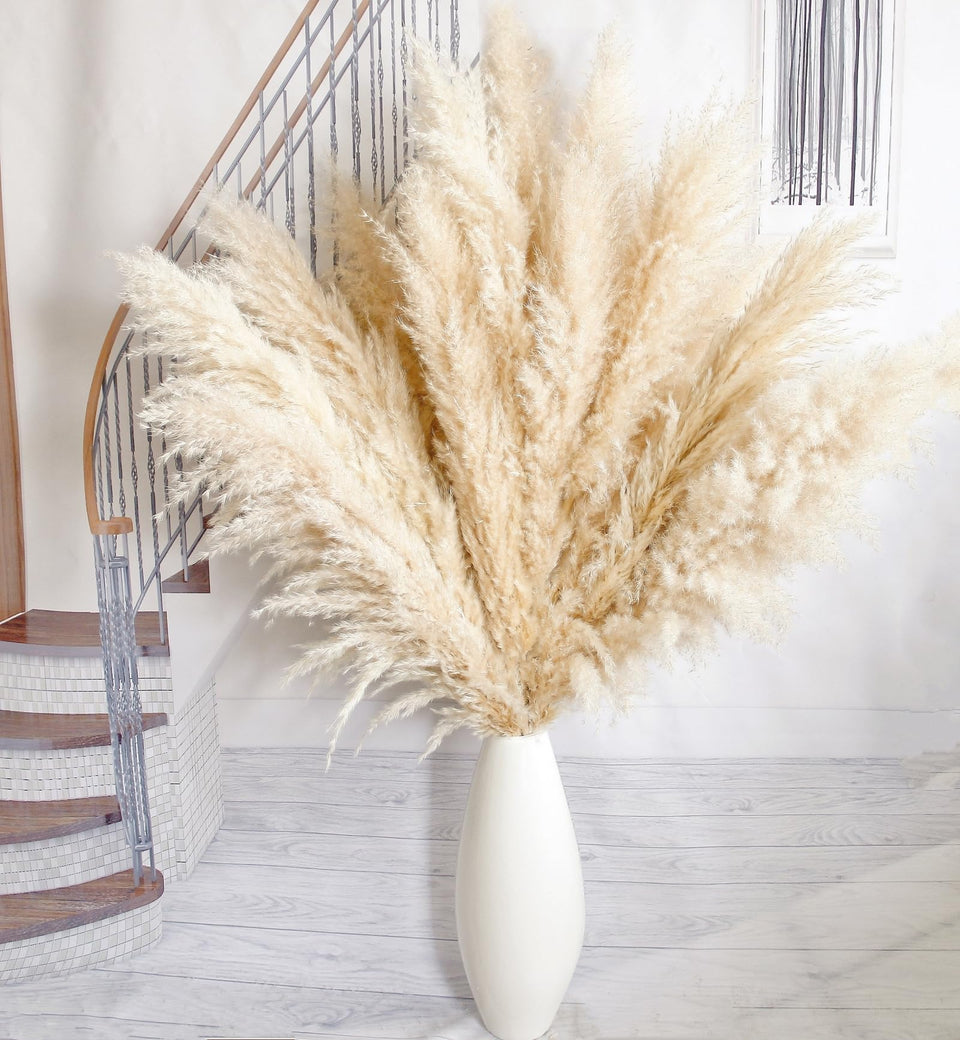 CKBT pampas grass 40-inch tall stems add elegant height to any room.