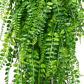 CLONG 33-inch ferns with five flexible stems for versatile displays.