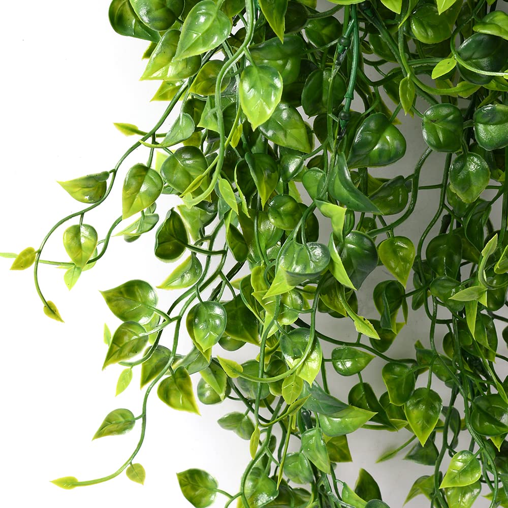 CLONG backyard ivy vine for balcony and garden decor.