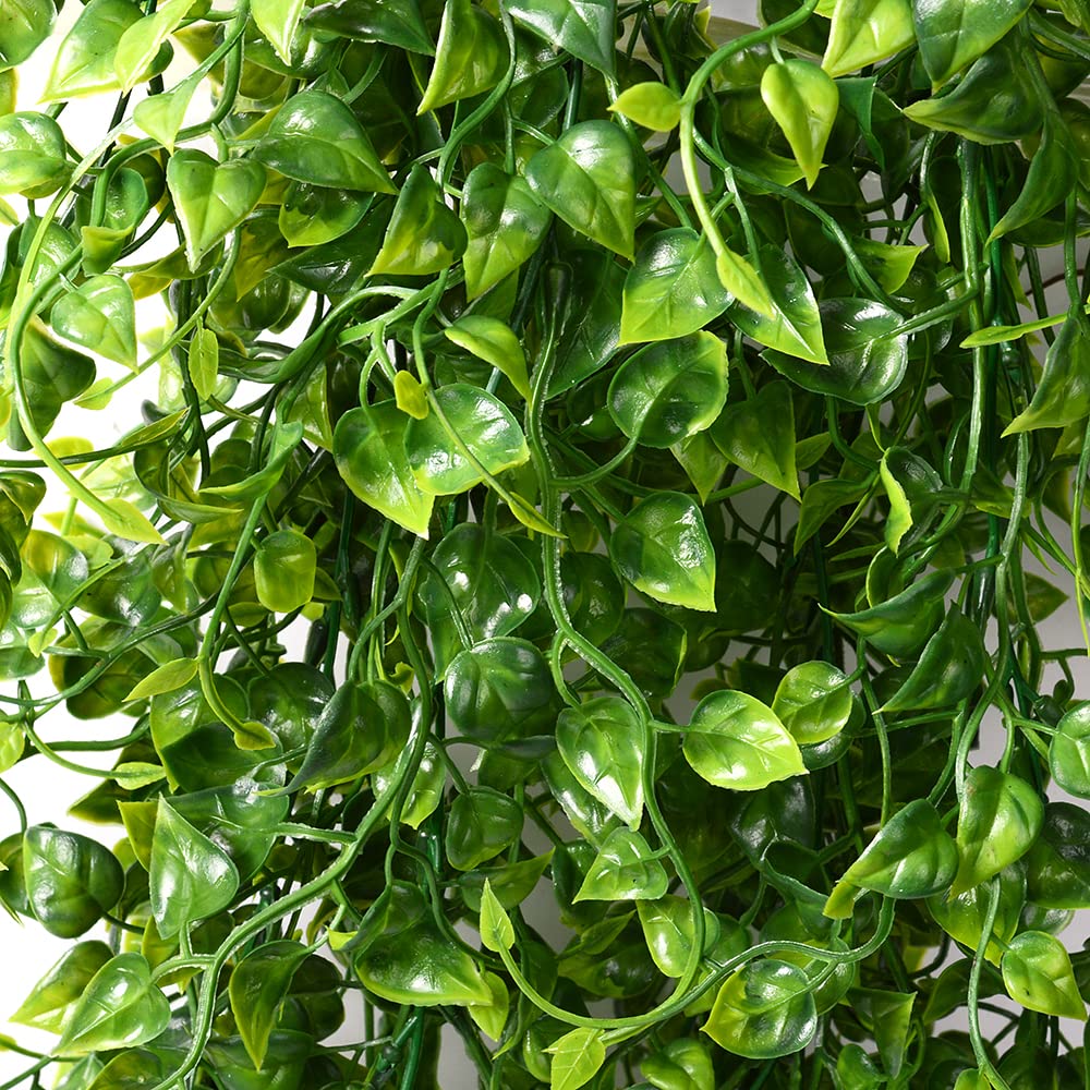 CLONG ivy hanging on front porch adds lush curb appeal.