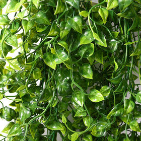 CLONG ivy hanging on front porch adds lush curb appeal.