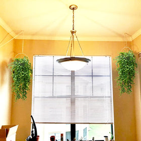 CLONG artificial ivy, six-pack for easy outdoor decorating.