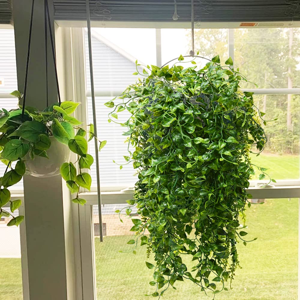 CLONG ivy hanging plant, UV resistant for durable outdoor use.
