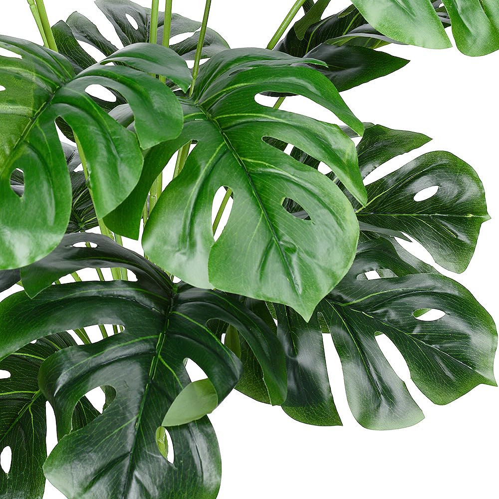 CLONG turtle leaf arrangement enhances patio aesthetics with tropical appeal.