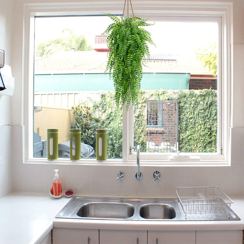 CLONG indoor or outdoor hanging ferns suitable for porch and window sill.