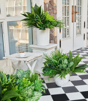 Clycaloor eco-friendly synthetic plants for long-lasting display