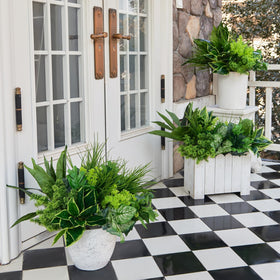 Clycaloor window box greenery adds instant curb appeal