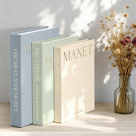 CNARIO hidden storage book box opens to conceal remotes and keepsakes.