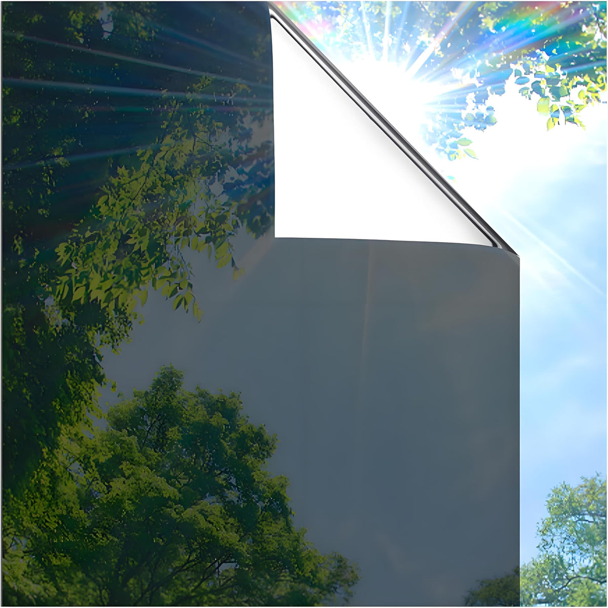 Coavas One Way Privacy Film daylight mirror on street-facing window