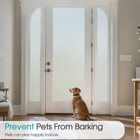 Coavas window film door window application demonstrates versatile use on entries.