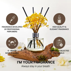 Cocodor diffuser bottle close-up with elegant design and reeds