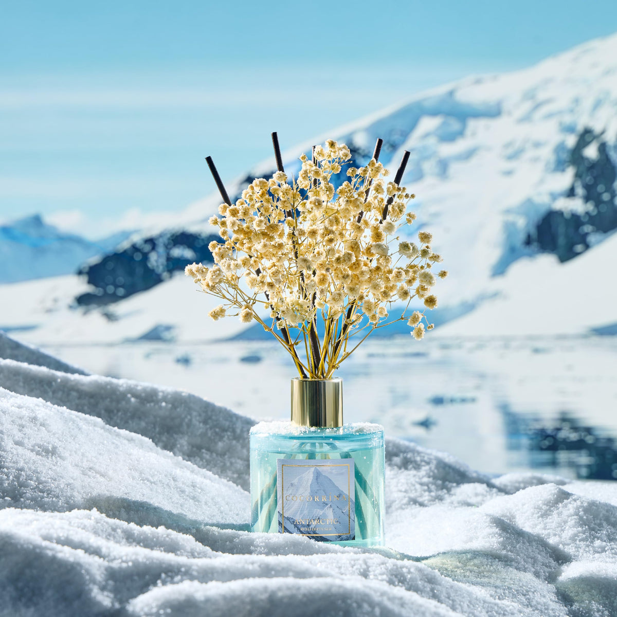 Elegant packaging makes the Antarctic diffuser a ready-to-gift item