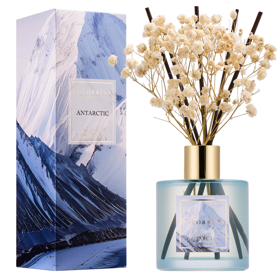 COCORRÍNA Antarctic reed diffuser bottle adds subtle fragrance to any room