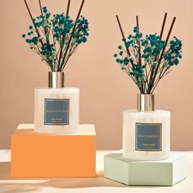 COCORRINA cashmere vanilla diffuser 2 pack adds warm sweetness to any room.