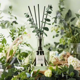 COCORRINA dried eucalyptus stems accent the diffuser setup for natural decor and subtle aroma