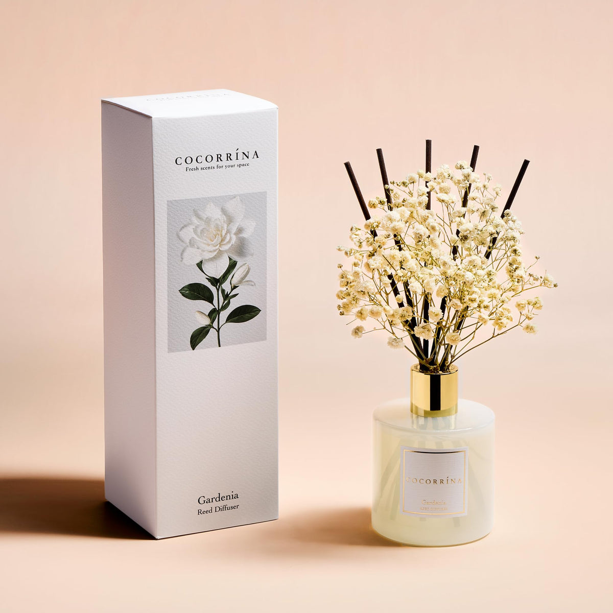 COCORRINA Gardenia preserved baby's breath adds natural decor and a soft scent