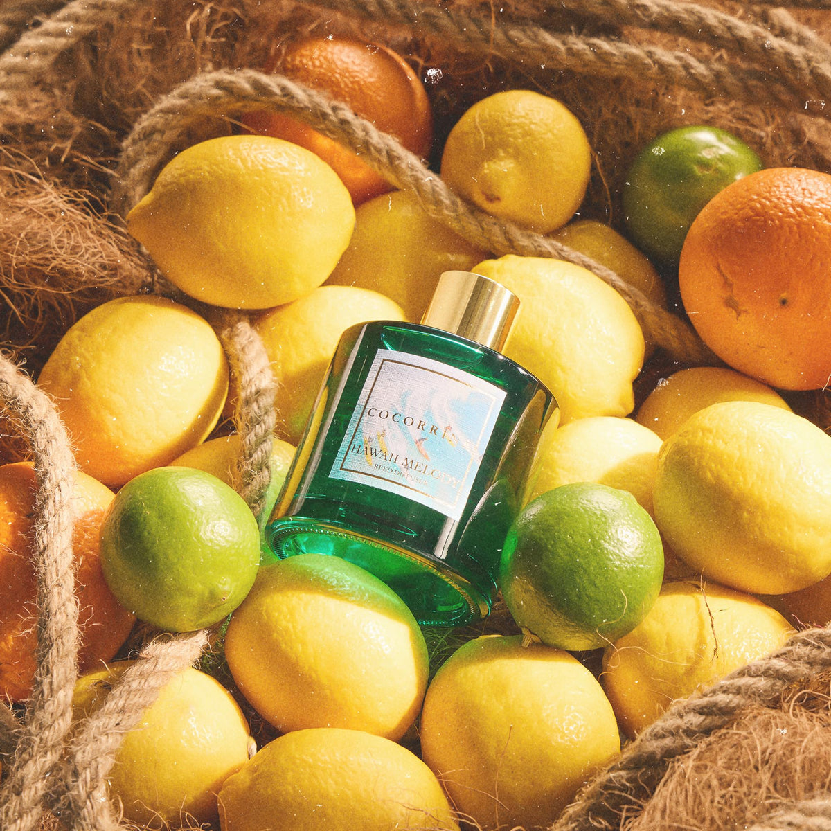 6.7 oz Hawaii Melody fragrance oil powering a long-lasting aroma.