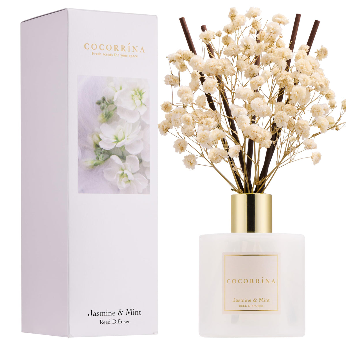 COCORRÍNA Jasmine & Mint diffuser bottle delivering a fresh living-room aroma.