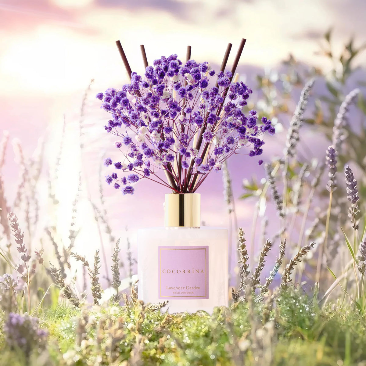 cocorrina lavender garden diffuser bottle packaging displayed on a nightstand.