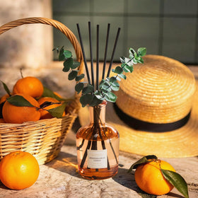 COCORRÍNA Mediterranean Citrus diffuser with eucalyptus sticks enhances decor and aroma.