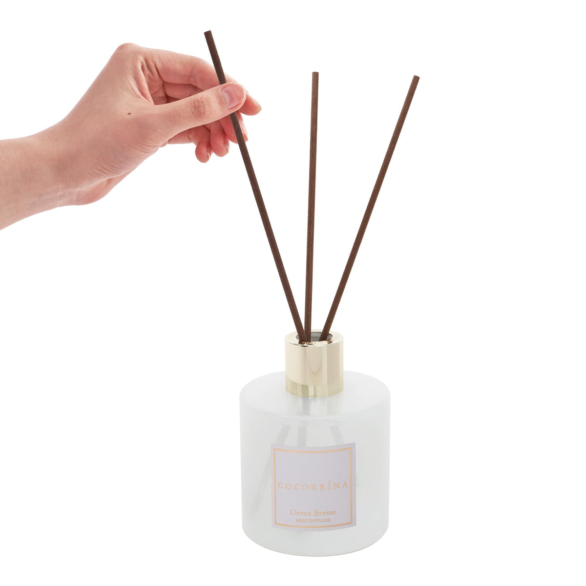COCORRINA Ocean Breeze room display diffuser creates inviting ambiance in living spaces.