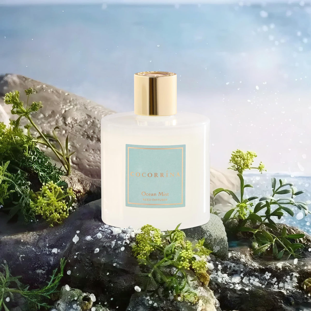 COCORRÍNA Ocean Mist diffuser sticks ready to release a balanced aroma