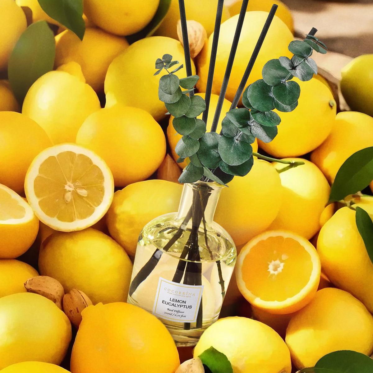 COCORRÍNA real eucalyptus stems add natural texture and fragrance to the display.