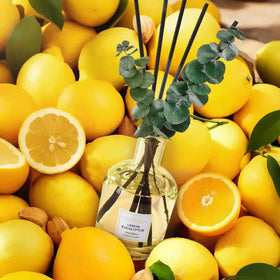 COCORRÍNA real eucalyptus stems add natural texture and fragrance to the display.