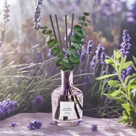 Real eucalyptus sticks from COCORRÍNA diffuser enhance natural fragrance