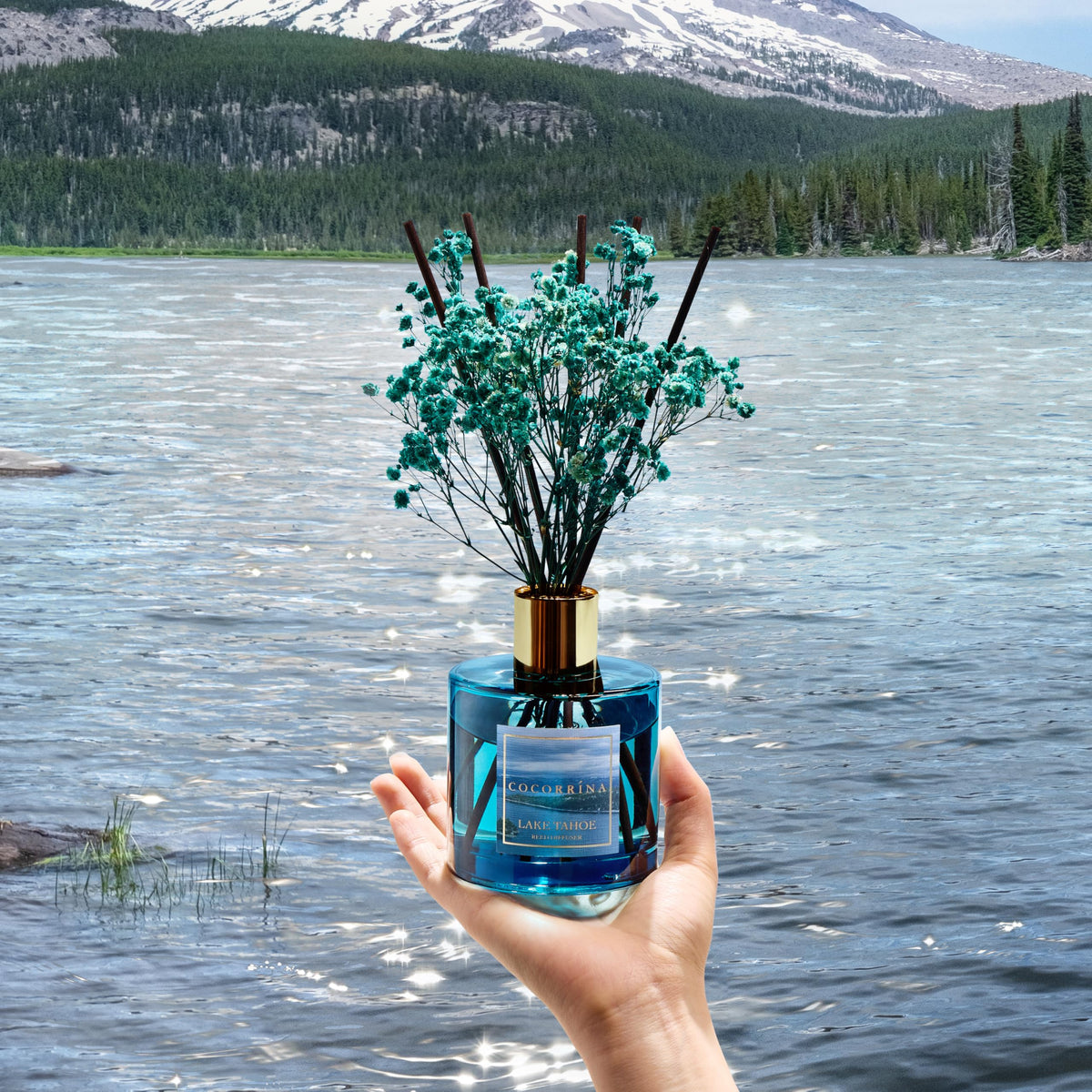 COCORRINA reed diffuser with eight reeds allows adjustable scent intensity