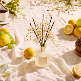 COCORRÍNA preserved baby’s breath flower adds natural decor and aroma.