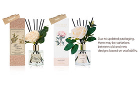 COCORRÍNA bottle on shelf adds botanical decor and scent.