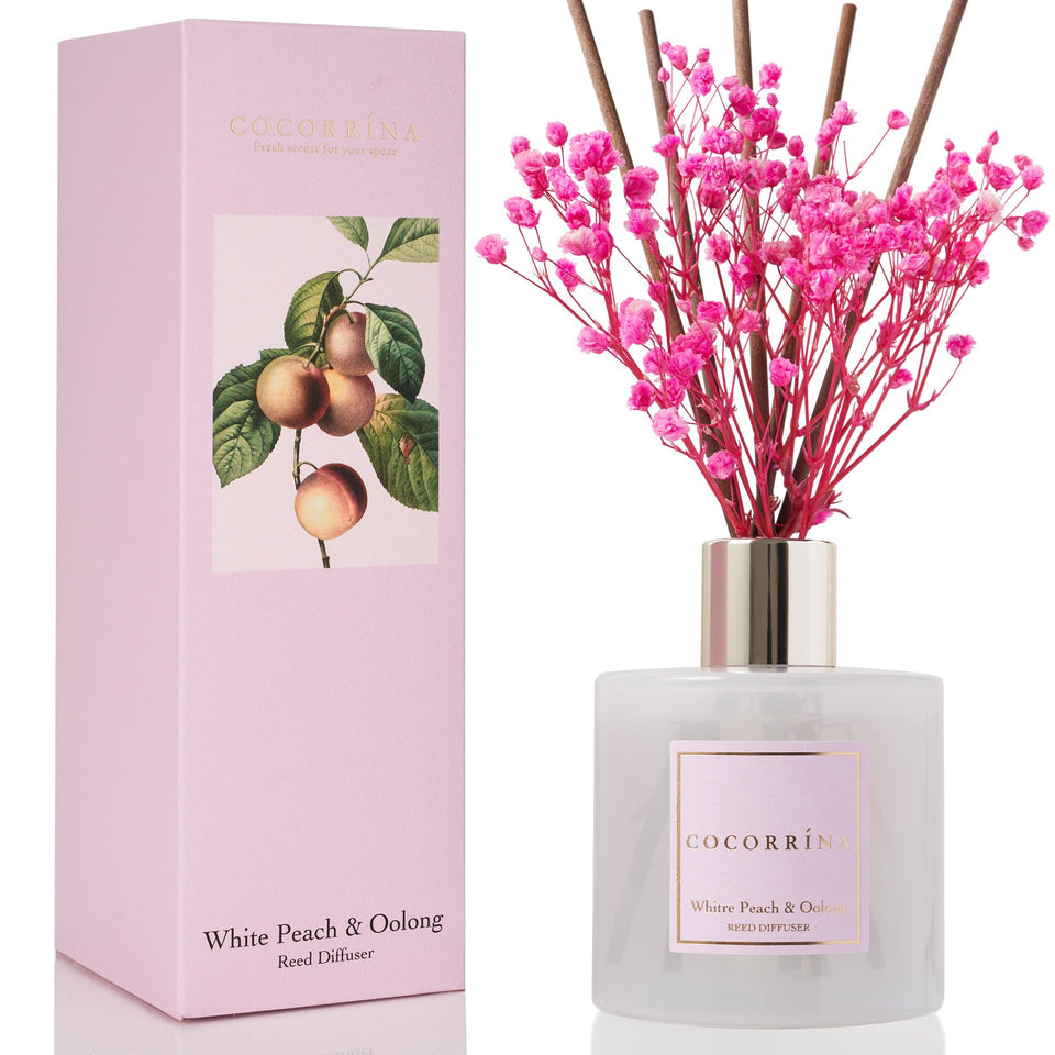 Cocorrina reed diffuser bottle with white peach and oolong scent for fresh room fragrance.