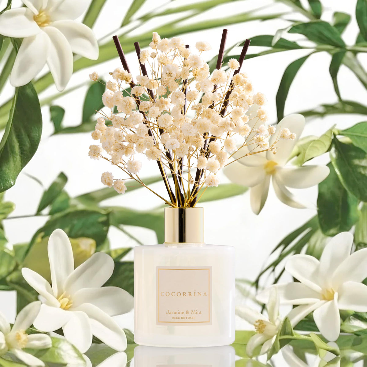COCORRÍNA diffuser packaging shown for gifting or display.