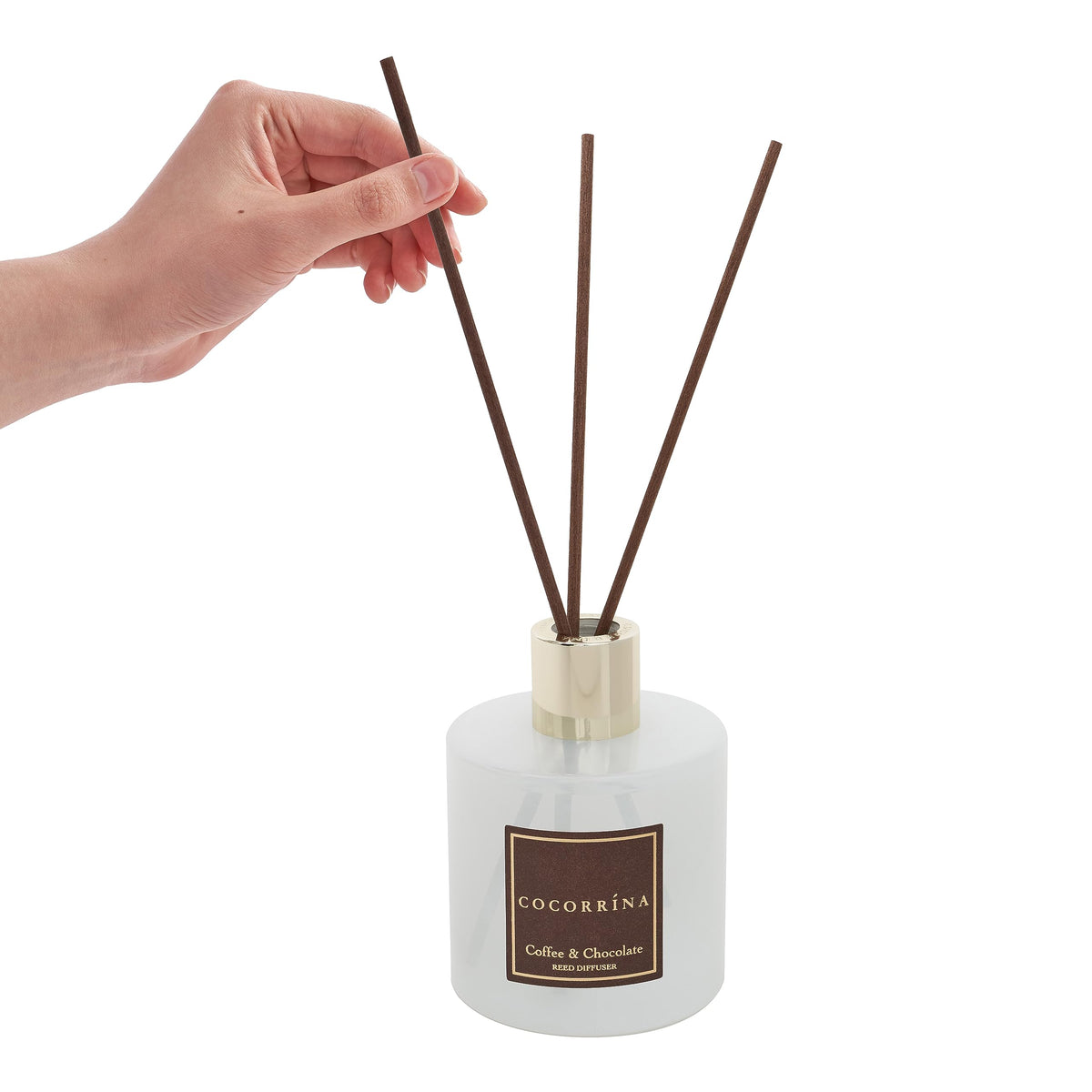 COCORRÍNA gift-ready diffuser ideal for holidays.