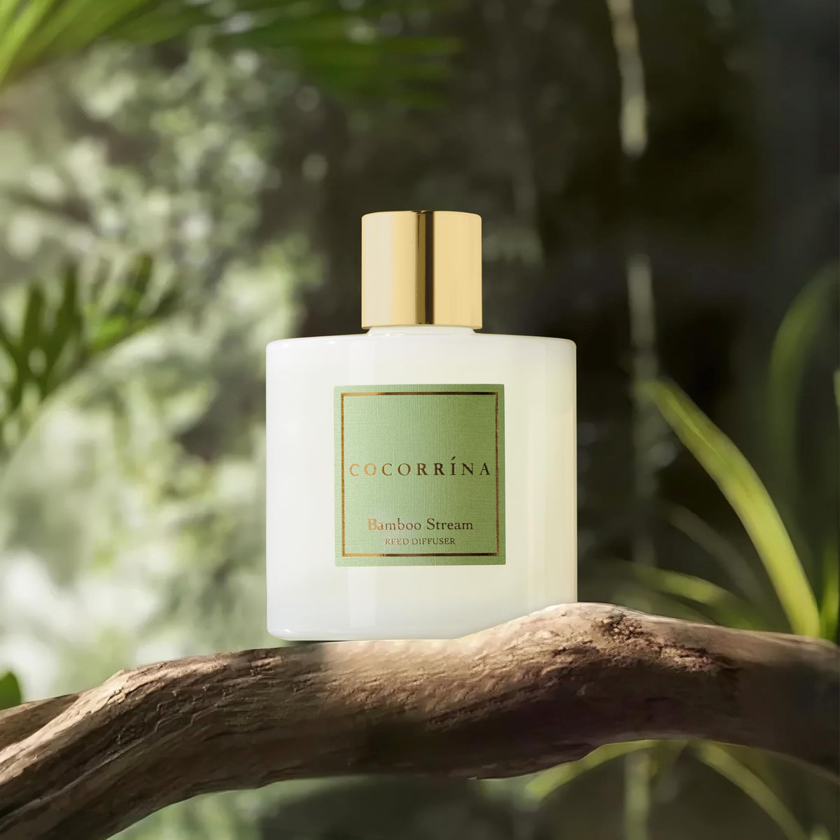 COCORRÍNA diffuser includes preserved baby breath for natural decor