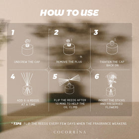 COCORRÍNA reed diffuser room decor setup for stylish ambiance