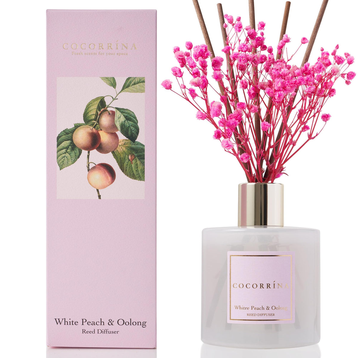 Cocorrina reed diffuser sticks arranged for steady fragrance release.