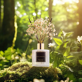 Cocorrína Black Forest vanilla and cedar scent notes create a cozy mood