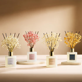 COCORRÍNA room-fill diffusion demonstrates long-lasting fragrance potential.
