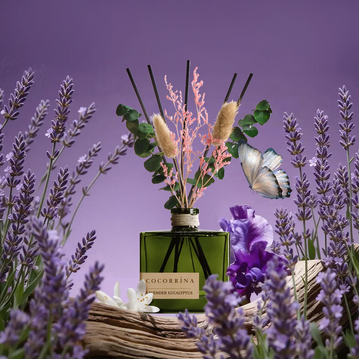 COCORRÍNA square bottle design complements minimalist home decor