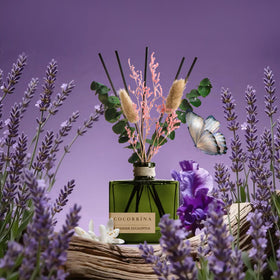 COCORRÍNA square bottle design complements minimalist home decor