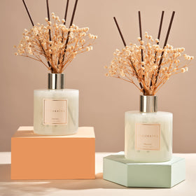 Cocorrina two-pack fragrance set ideal for home or office scent upgrade.
