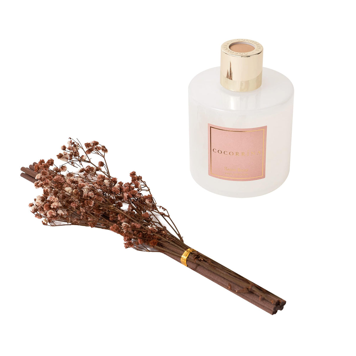 COCORRÍNA vanilla and patchouli notes create a warm, inviting ambiance